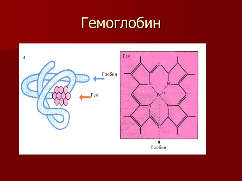 Гемоглобин